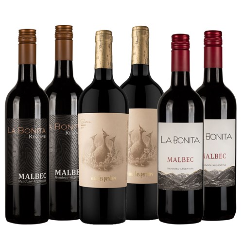 Argentinian Classics 6 bottle Case of Wine - Shop Today